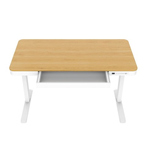 Activejet Biurko z elektryczną regulacją wysokości ET119S biały/dąb. Wymiar blatu 120x60 cm.