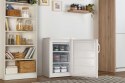 Zamrażarka wolnostojąca Gorenje F492PW | klasa E | 86 l | 4 kg/24h | 84,5 cm | tacka na lód | EcoMode | biały