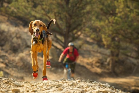 Ruffwear Grip Trex