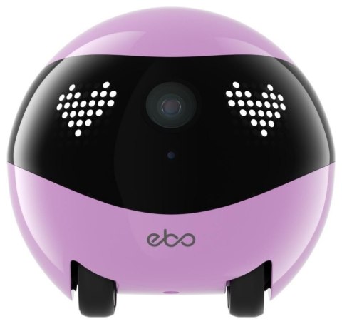 Robot towarzyszący ENABOT WH287322P