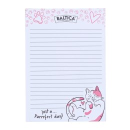 BALTICA Notes