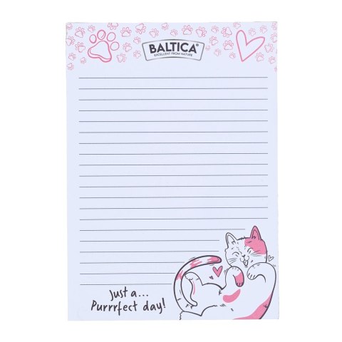 BALTICA Notes