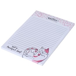 BALTICA Notes