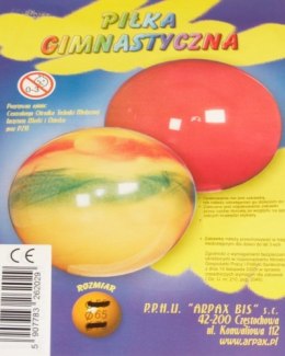 ND39_469618 -PILKA SKACZACA 45CM REHABILITACYJNA ARPAX