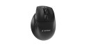 GEMBIRD BEZPRZEWODOWA, ERGONOMICZNA MYSZ TRI MODE (2.4G + BT + USB) 2400 DPI, 9 PRZYCISKÓW, CZARNA