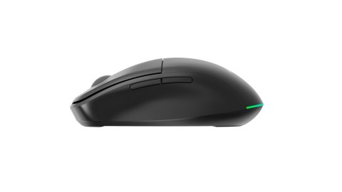 GEMBIRD MYSZ BEZPRZEWODOWA DUAL-MODE (2.4G + BT) 1600 DPI, 6 PRZYCISKÓW, KOLOR CZARNY