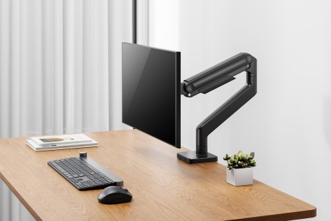 Digitus Uchwyt do pojedynczego monitora, 49", 20 kg