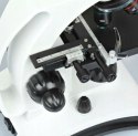Mikroskop Delta Optical BioLight 300