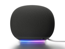 Google Home Speaker