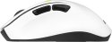 Mysz Bezprzewodowa ASUS MD105 Volt Green