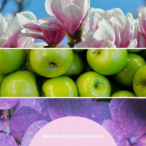 Uzupełniacz do pałeczek 250ml MAGNOLIA BLOSSOM & WOOD MILLEFIORI
