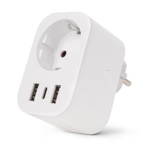 Entac ES-SSAUSB-WIBLE adapter wtyczek zasilających Biały