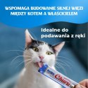 INABA CAT CHURU 120P CHICKEN&TUNE 120x14g