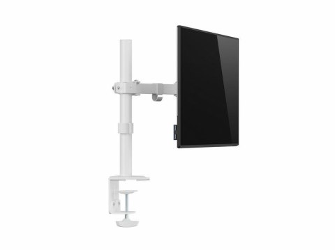 Equip 650166 uchwyt / stojak do monitorów 81,3 cm (32") Biurko Biały