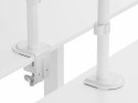 Equip 650166 uchwyt / stojak do monitorów 81,3 cm (32") Biurko Biały