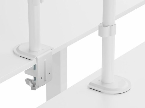 Equip 650166 uchwyt / stojak do monitorów 81,3 cm (32") Biurko Biały