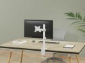 Equip 650166 uchwyt / stojak do monitorów 81,3 cm (32") Biurko Biały