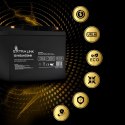 EXTRALINK AKUMULATOR BATTERY ACCUMULATOR AGM 12V 45