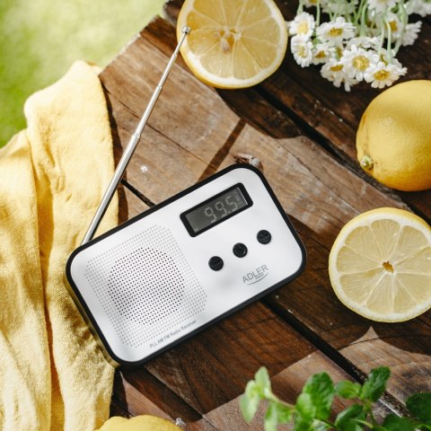 Adler Radio ADLER AD 1907