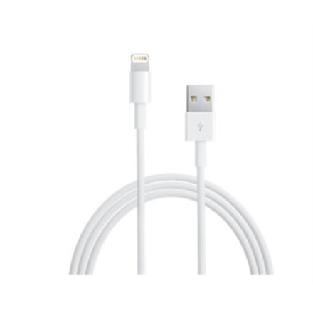 Apple Lightning to USB Cable (0.5 m)