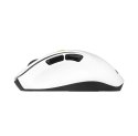 Asus ASUS MD105 Bezprzewodowa Mysz Bluetooth i 2.4GHz Volt Green 1200/1600/2400 DPI