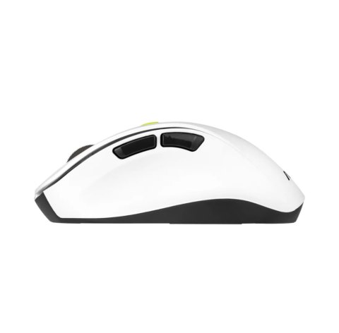 Asus ASUS MD105 Bezprzewodowa Mysz Bluetooth i 2.4GHz Volt Green 1200/1600/2400 DPI