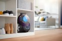 Philips Odkurzacz Philips FC9333/09 (650W; kolor fioletowy)