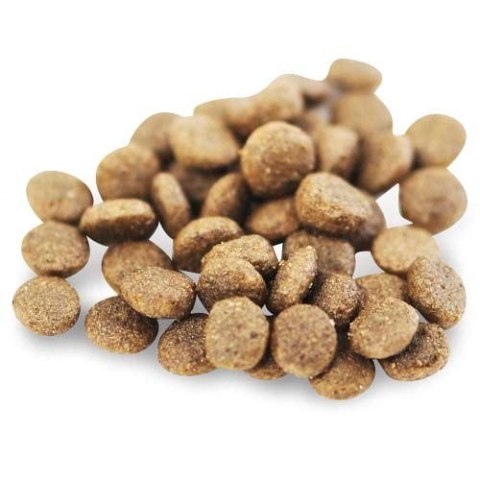 FISH4DOGS Fish4Dogs Superior Senior z łososiem (S) 1,5kg