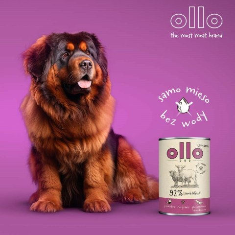 OLLO Ollo Umami Jagniecina i Wołowina 850g