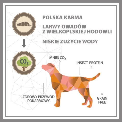 PUPIL PUPIL PREMIUM INSECT karma sucha dla psa 12kg