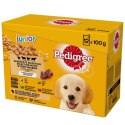 Pedigree PEDIGREE Junior Wybór smaków w galaretce - mokra karma dla psa - 12x100 g