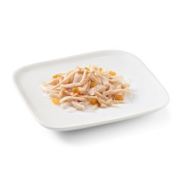 Schesir SCHESIR Adult FRUIT Filety z kurczaka z papają 150g