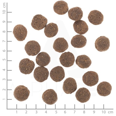 WOLFSBLUT WOLFSBLUT Vetline Hypoallergenic 2kg