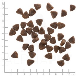 WOLFSBLUT WOLFSBLUT Wide Plain Small horse/sweet potatos 2kg