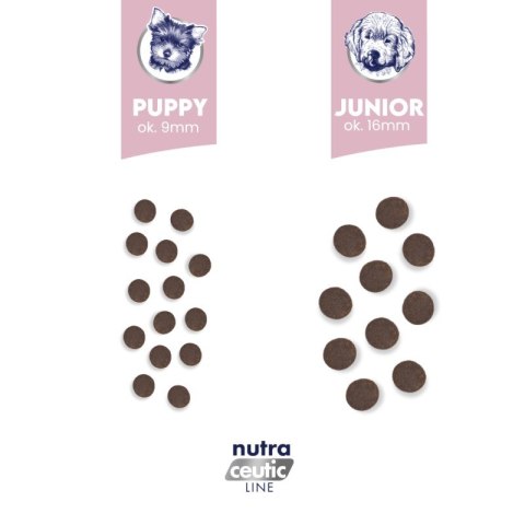 BALTICA BALTICA NUTRACEUTIC Hypoallergenic Junior Lamb & Rice L / XL 12kg
