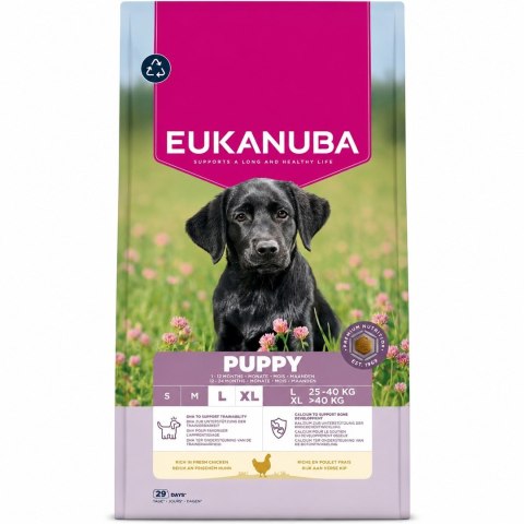 EUKANUBA Eukanuba Dog Breeder Puppy Large Chicken 18kg
