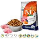 Farmina FARMINA N&D Pumpkin Lamb & Blueberry Adult Medium & Maxi - sucha karma dla psa - 12kg