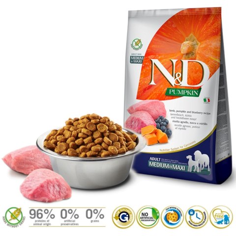Farmina FARMINA N&D Pumpkin Lamb & Blueberry Adult Medium & Maxi - sucha karma dla psa - 12kg