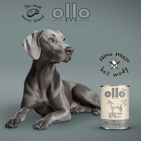 OLLO Ollo Pure Koń 400g