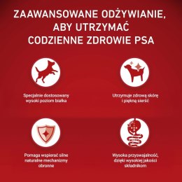 PURINA NESTLE PURINA ONE MINI Dog Adult Beef & Rice 1,5kg