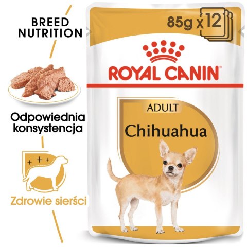Royal Canin ROYAL CANIN BHN Chihuahua Adult - mokra karma dla psa dorosłego - 12x85g
