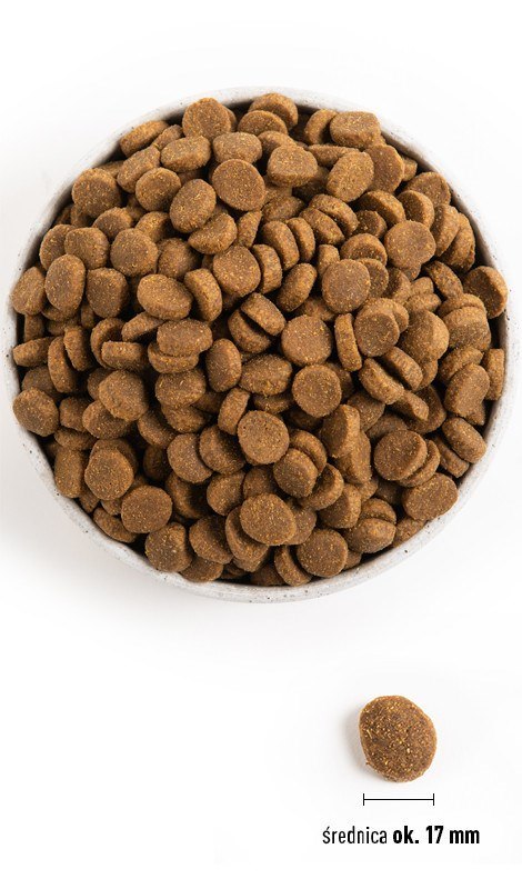 ACANA ACANA Heritage Adult Large Breed - sucha karma dla psa - 11,4kg