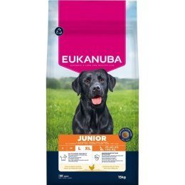 EUKANUBA Eukanuba Premium Nutrition Junior Large & Giant Breed, kurczak 15kg