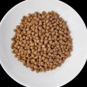 Vet Response VET RESPONSE RENAL karma dla psa 1,6 kg