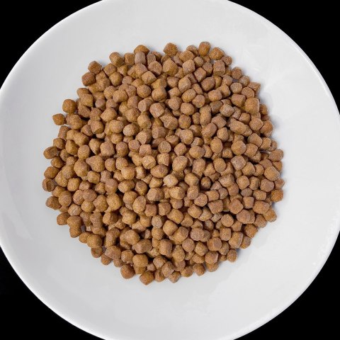 Vet Response VET RESPONSE RENAL karma dla psa 1,6 kg