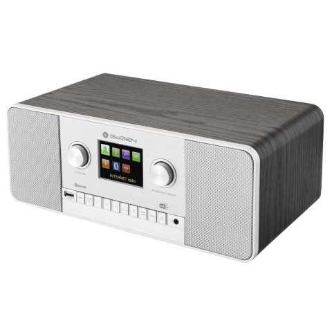 GoGen IR 257 BTDAB Internet Cyfrowy Srebrny