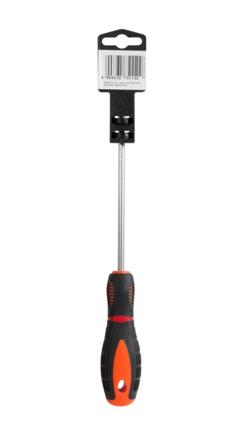 EPM WKRĘTAK PŁASKI SERIA M3 6*100MM