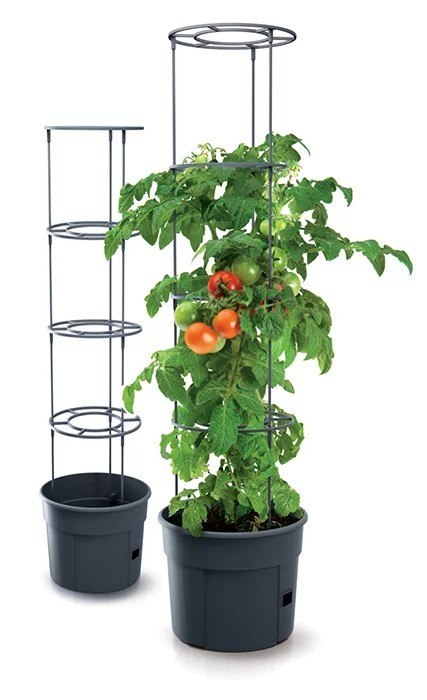PROSPERPLAST DONICZKA TOMATO GROWER - ANTRACYTOWY 12L