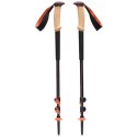 Kije trekkingowe Black Diamond Trail Cork Trekking Poles Fig BD110065