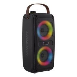 Denver BTV-230 Przenośny głośnik stereo Czarny 10 W